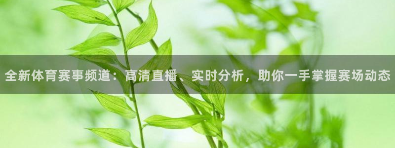 9255tv直播nba在线观看