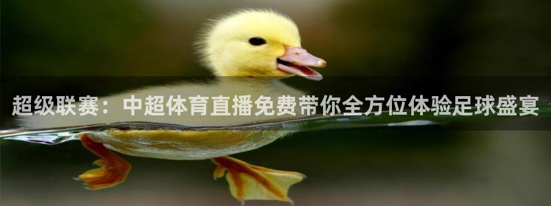 9255tv直播nba在线直播