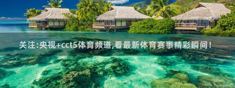 9255tv直播nba在线直播