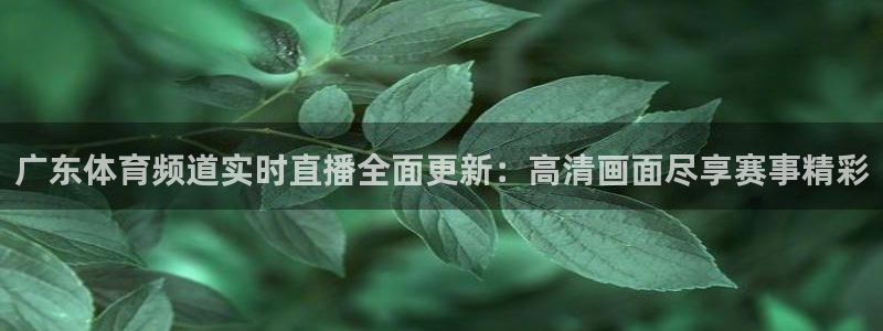 9255tv直播无插件nba