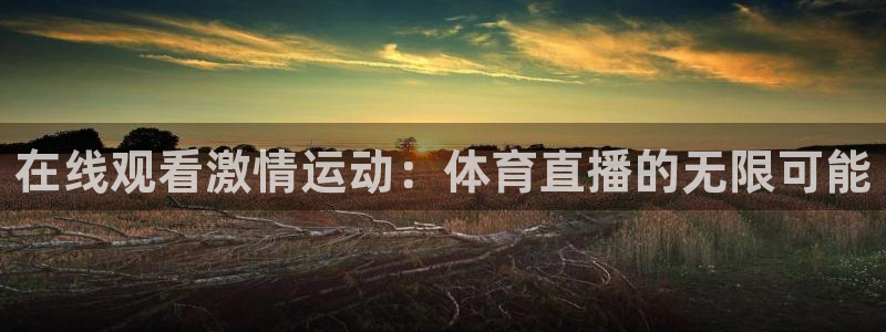9255tv直播无插件nba：在线观看激情运动：体育直播的无限可能