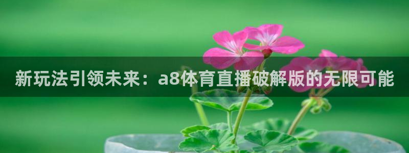 9255tv直播nba在线观看：新玩法引领未来：a8体育直播破解版的无限可能