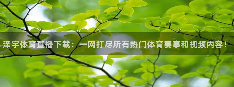 9255tv直播无插件nba