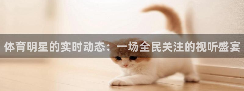 9255tv直播nba在线观看
