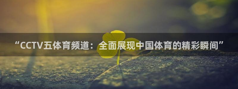 9255tv直播nba在线直播